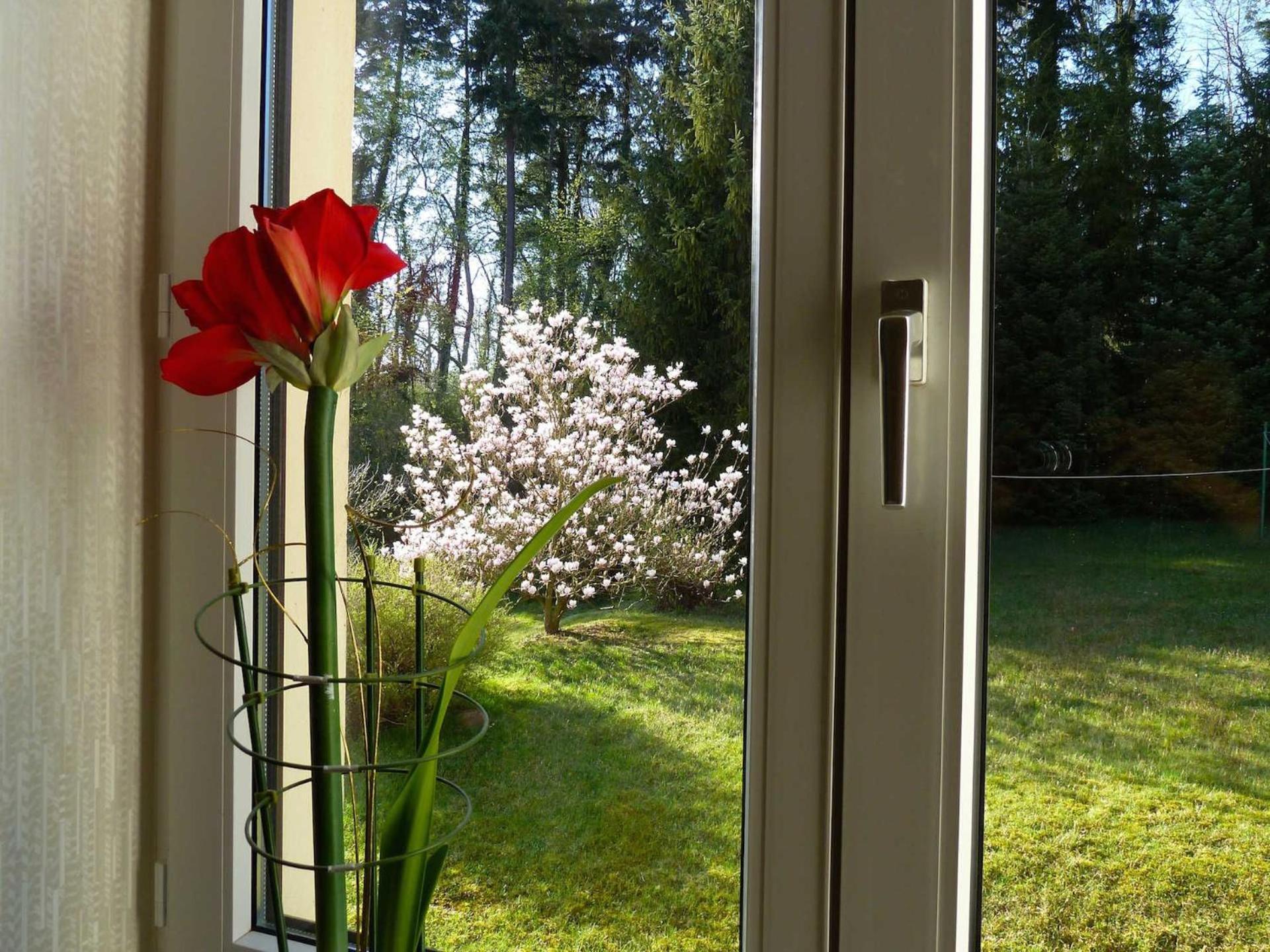 Ferienwohnung Villa am Haussee Feldberger Seenlandschaft Exterior foto